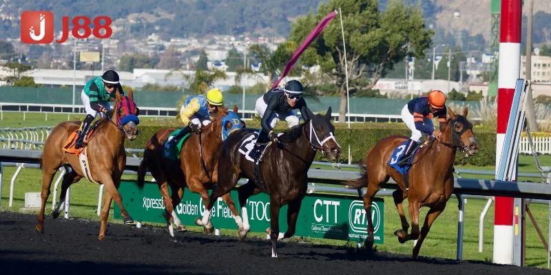 M&ocirc;n đua ngựa thổi l&agrave;n gi&oacute; mới v&agrave;o thế giới c&aacute; cược trực tuyến.