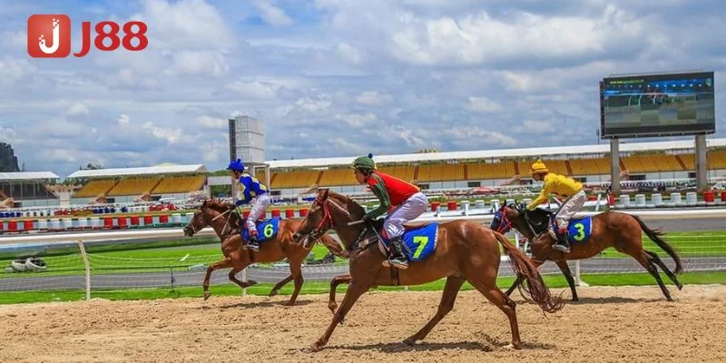 B&iacute; k&iacute;p cược th&ocirc;ng minh gi&uacute;p bạn bứt ph&aacute; ngay từ vạch xuất ph&aacute;t.