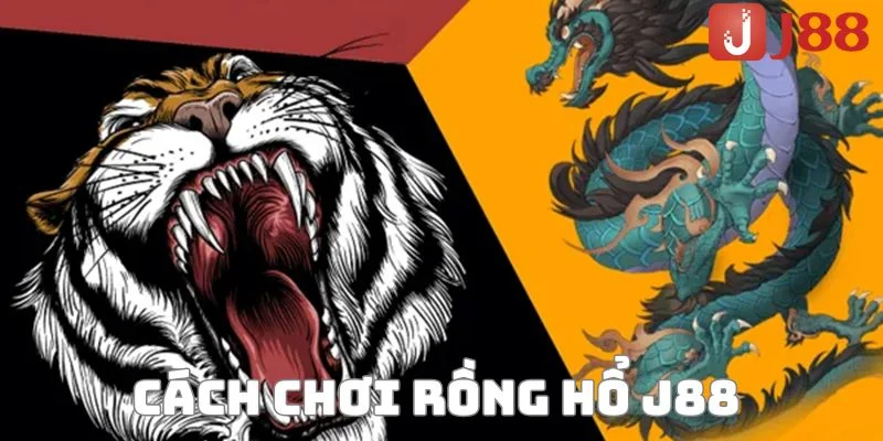 Hướng dẫn c&aacute;ch chơi rồng hổ J88 với nhiều cửa cược.&nbsp;